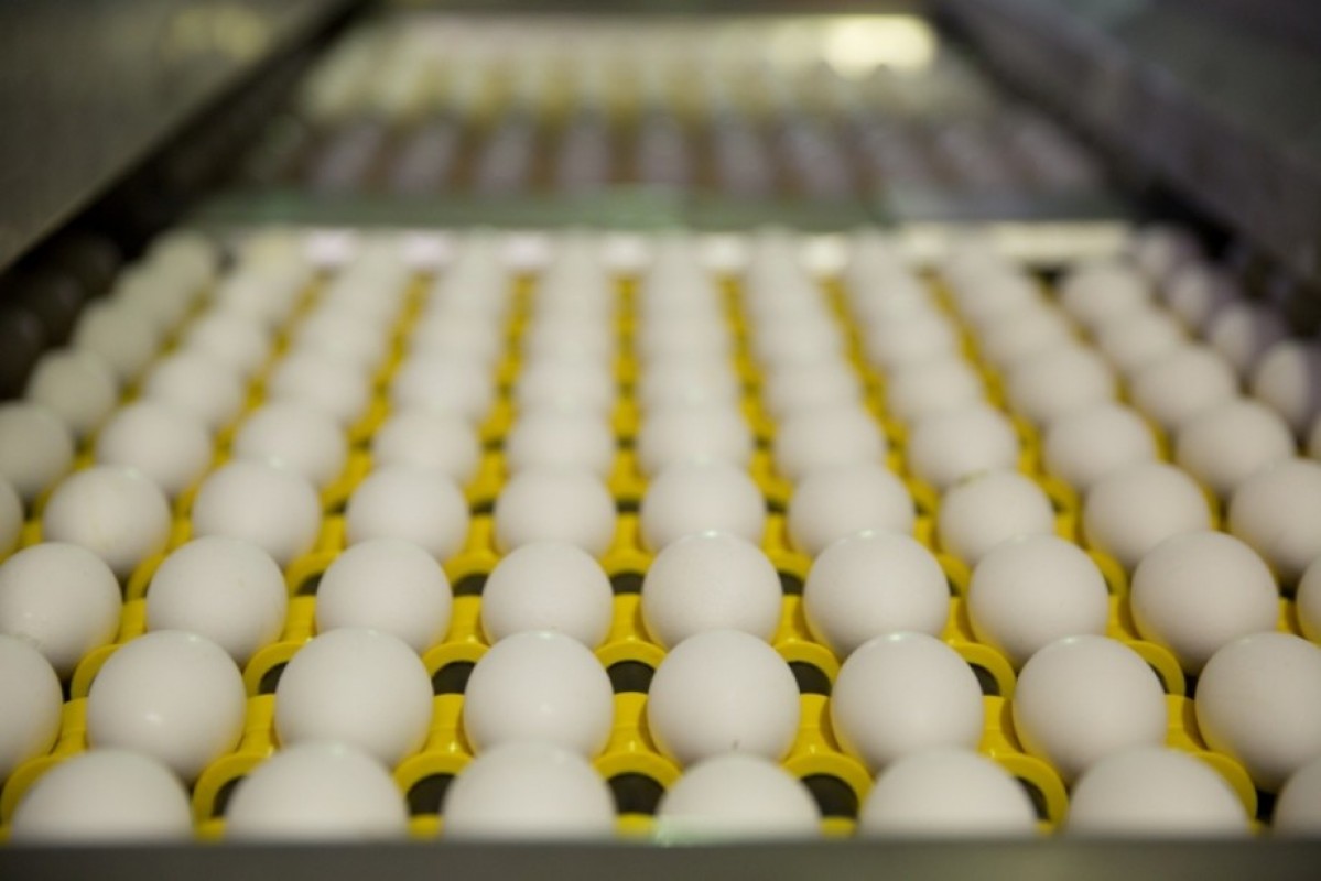 Eggs from Russia