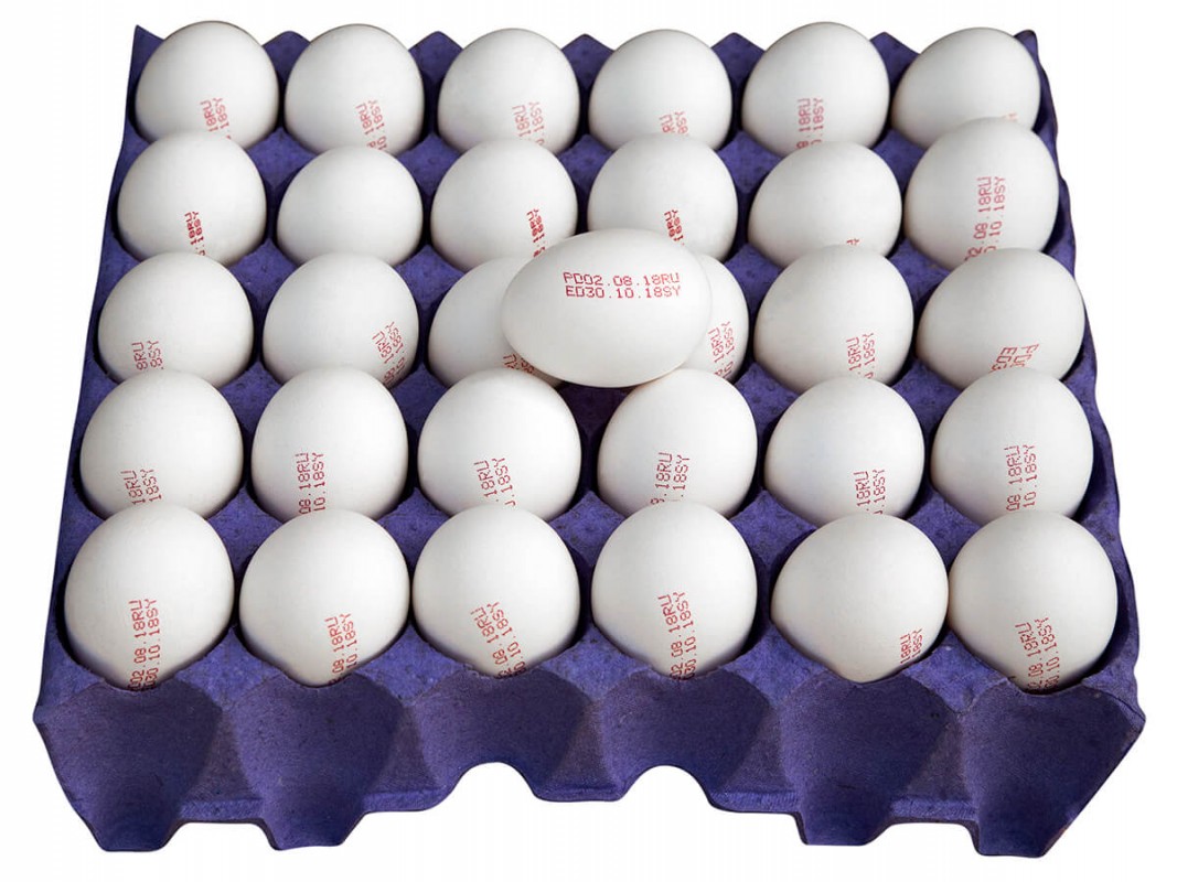 Fresh eggs from Russia