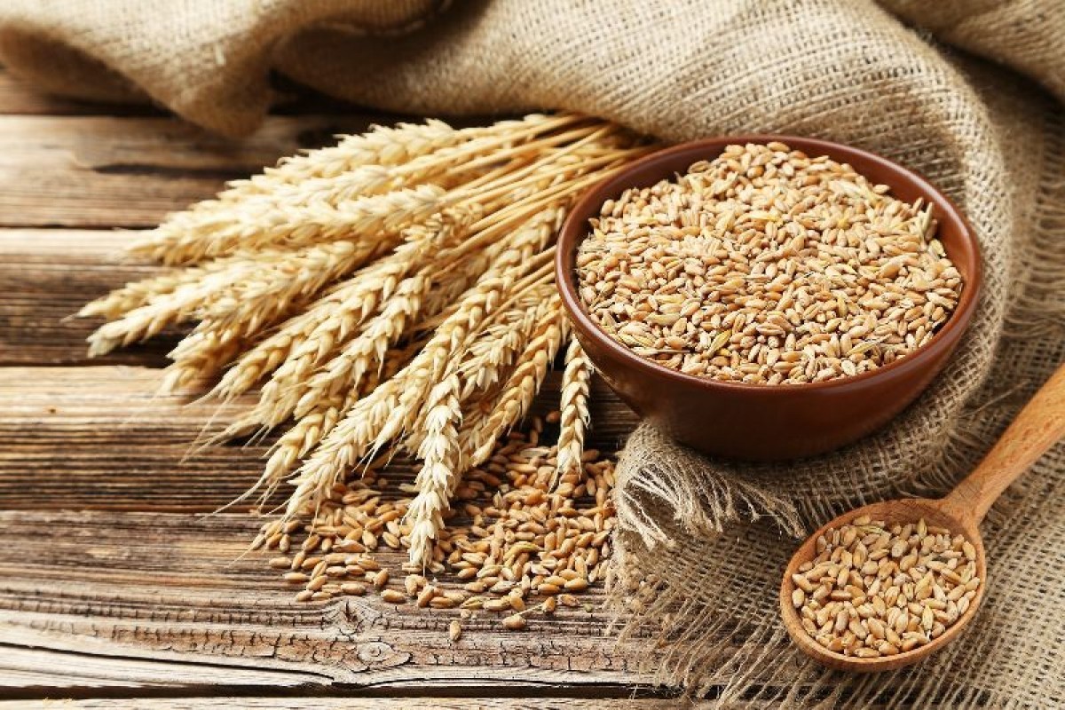 Weizen from Russland