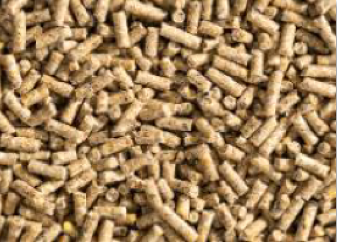 Ready combined feed for poultry from Russia