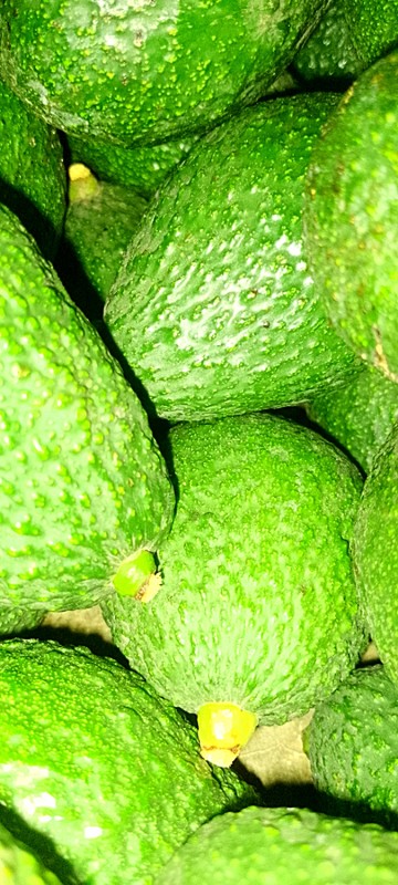 Avocado from Rwanda