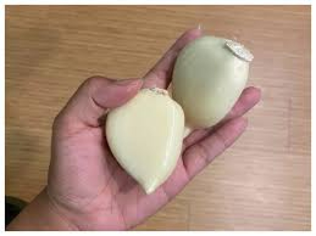 Garlic G1 from Saudi Arabia