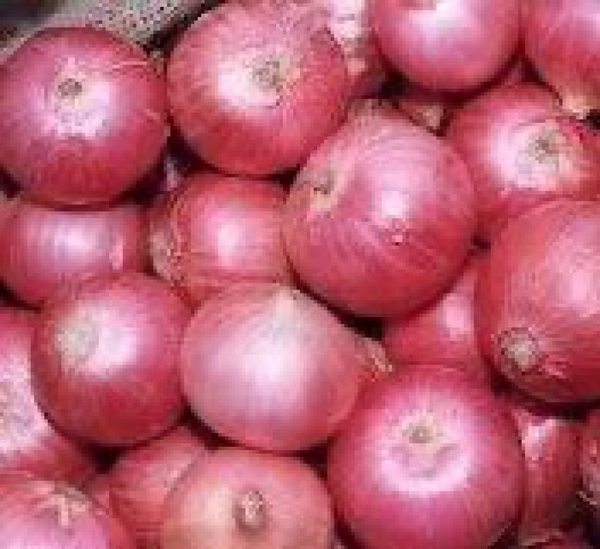Onion from Sudan from Sudan