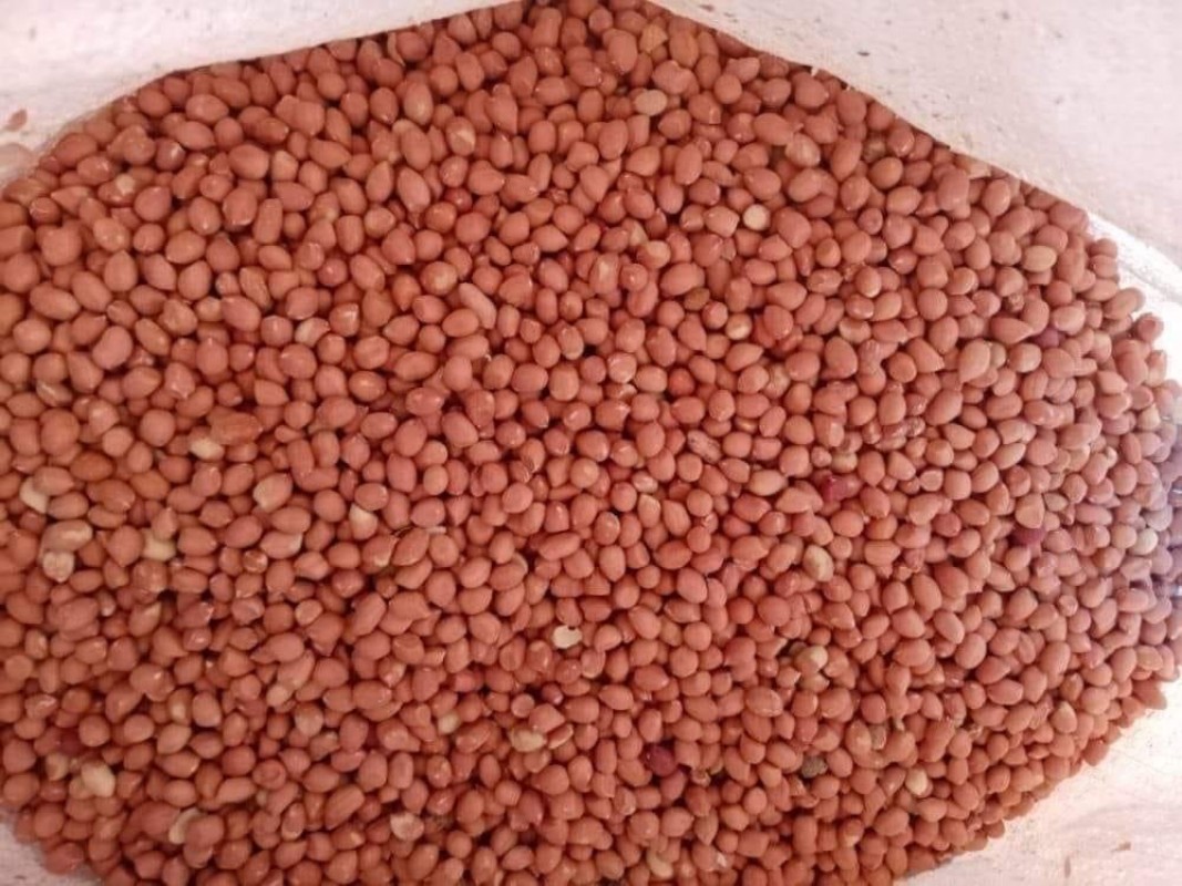 Peanut from Sudan