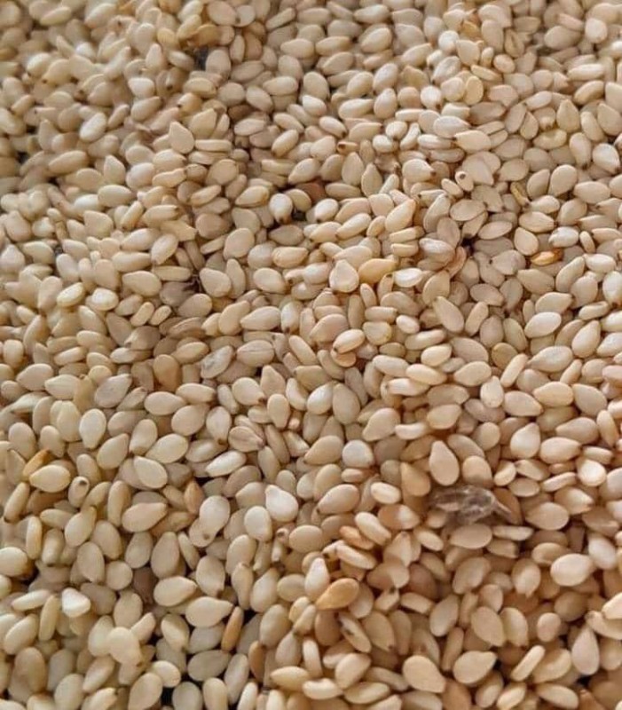 Sesame seed from Sudan