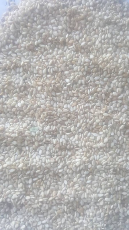 Sementes de gergelim from Sudão