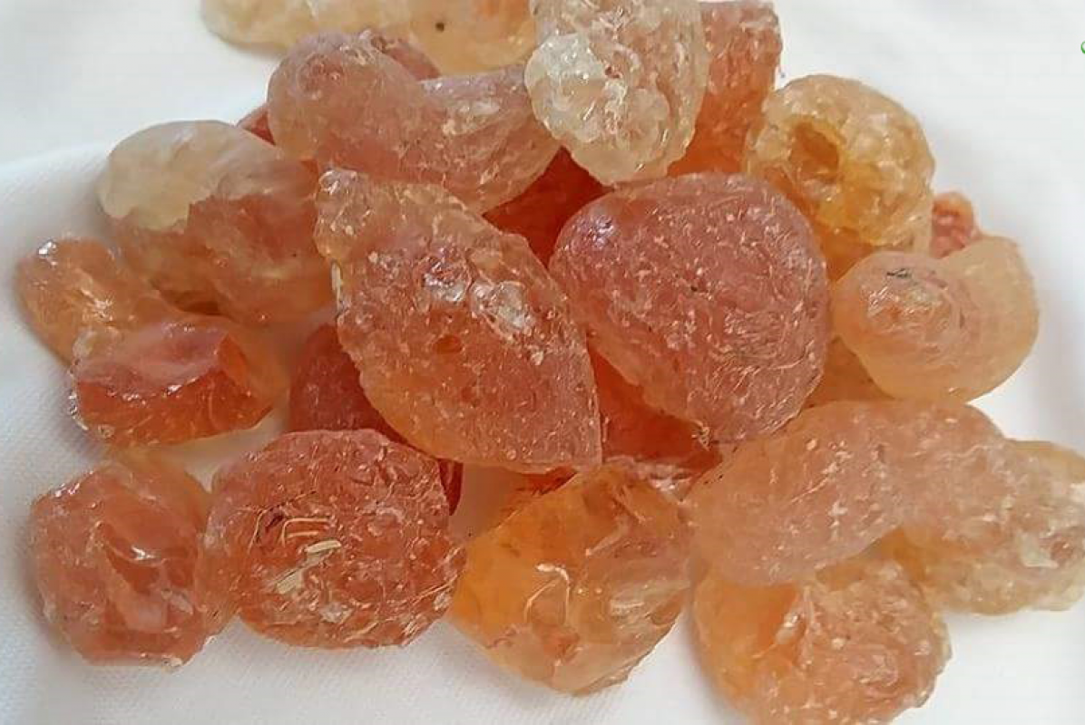 Arabic Gum from Sudan (Hashab) from Sudan