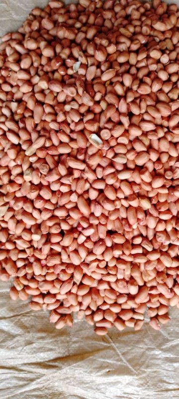 Peanuts from Sudan