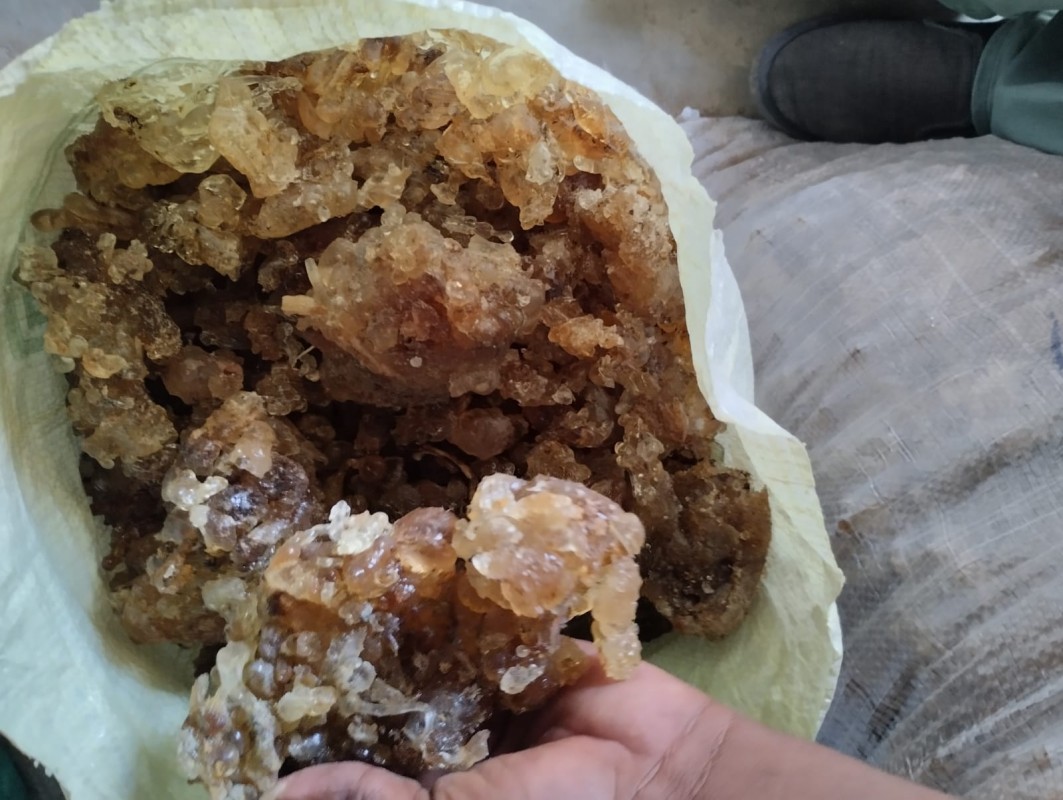 Arabic acacia gum from Sudan