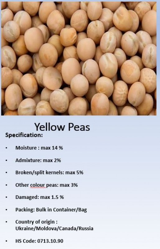 Yellow Peas from Singapore