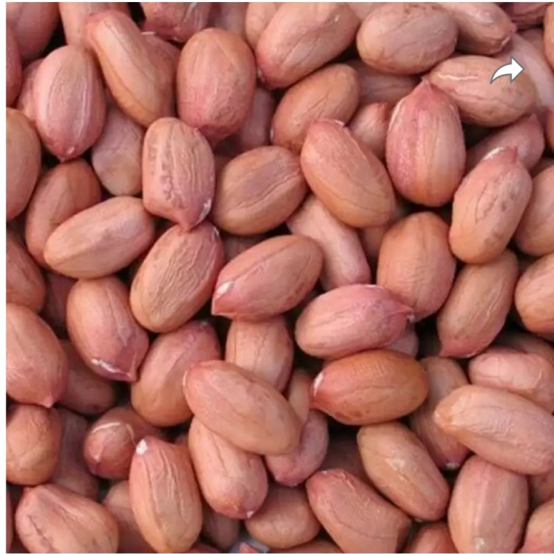 Raw Peanuts from Singapore