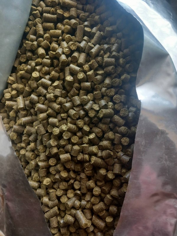 Hops from Slovenia