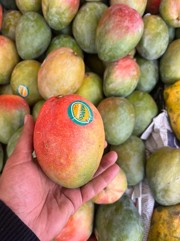 Mango Kent from Senegal