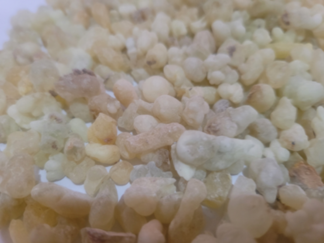Frankincense from Somalia