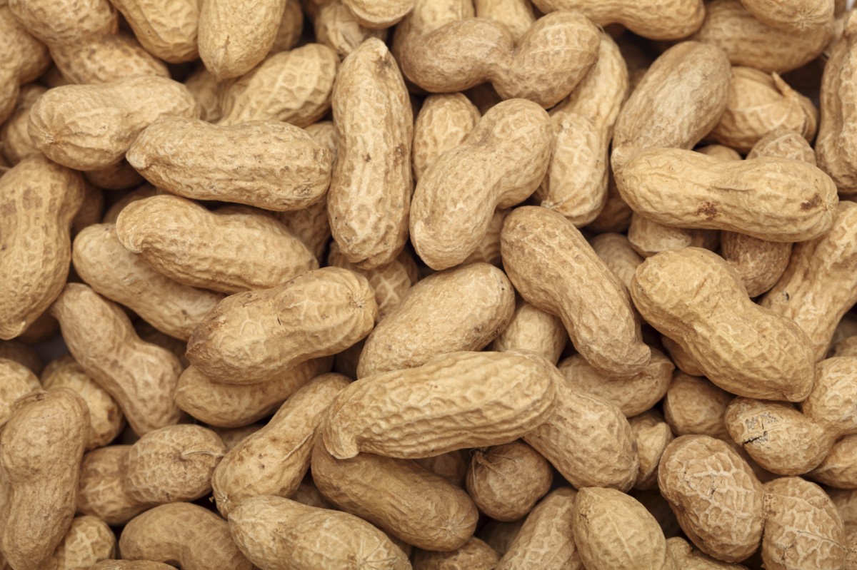 groundnut (peanut) from South Sudan
