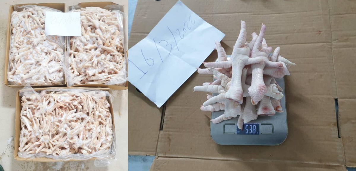 Frozen Chicken Feet! "Halal "Grade A' from Siria