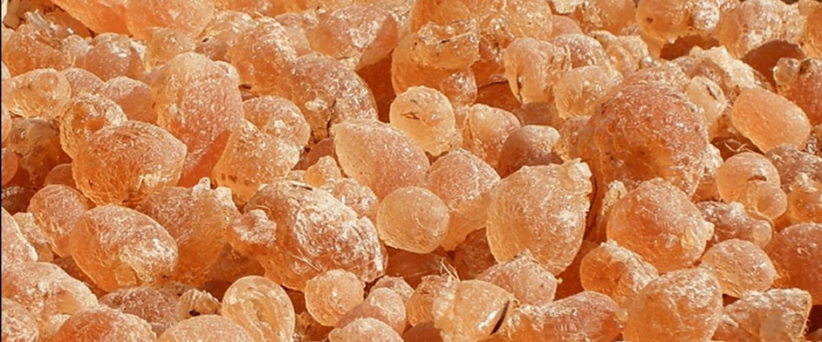 Nutural seeds from Chad