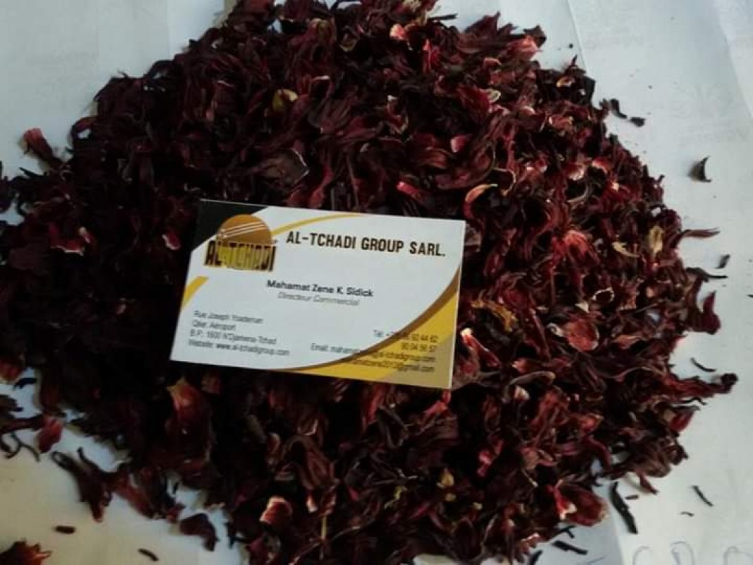 Hibiscusbloemen from Tsjaad