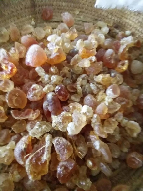 Gum Arabic from Chad