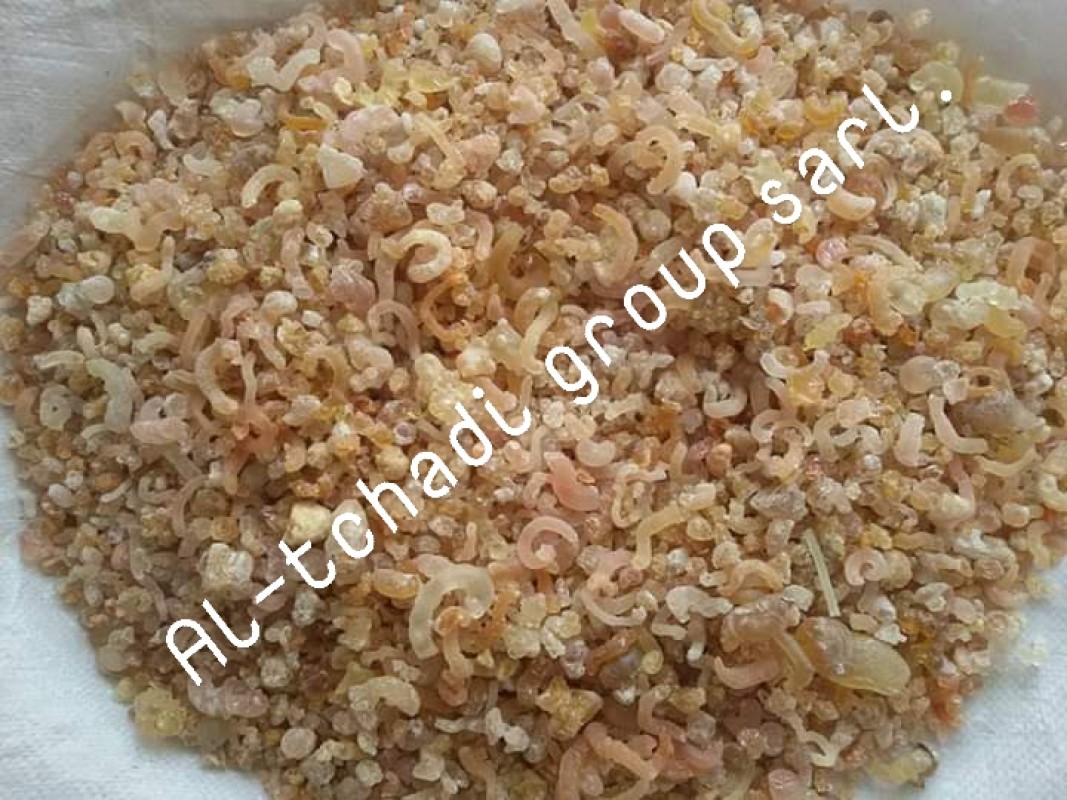 Gum Arabic from Chad