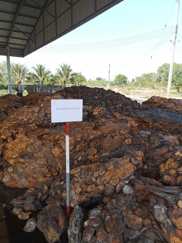 Borracha Natural from Tailândia