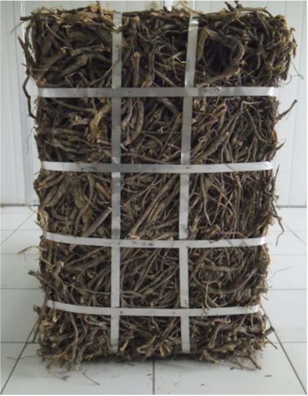 Licorice root from Turkmenistan