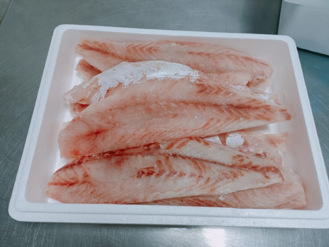 Nile Perch Fillet - Frozen / Chilled from Tanzania