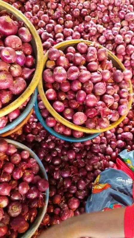 onio for sale whatsap +255742638024 from Tanzania