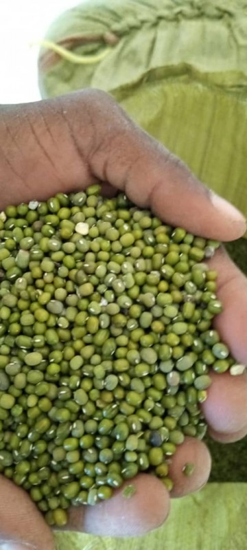 GREENGRAM BEANS from Tanzania