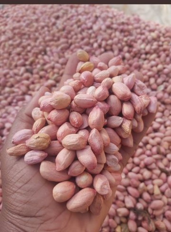 Ground nut (Peanut) from Tanzania