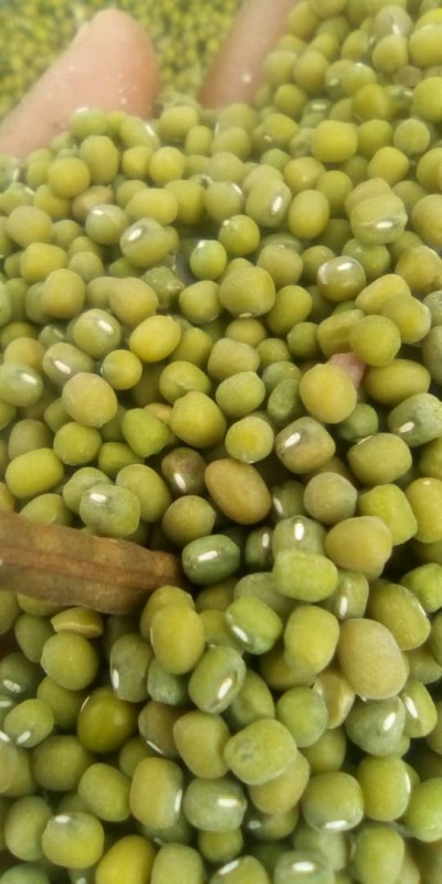Green Mung Beans from Tanzania