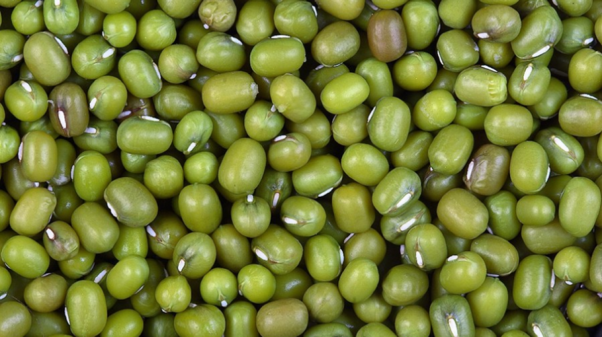 Mung Beans from Tanzania
