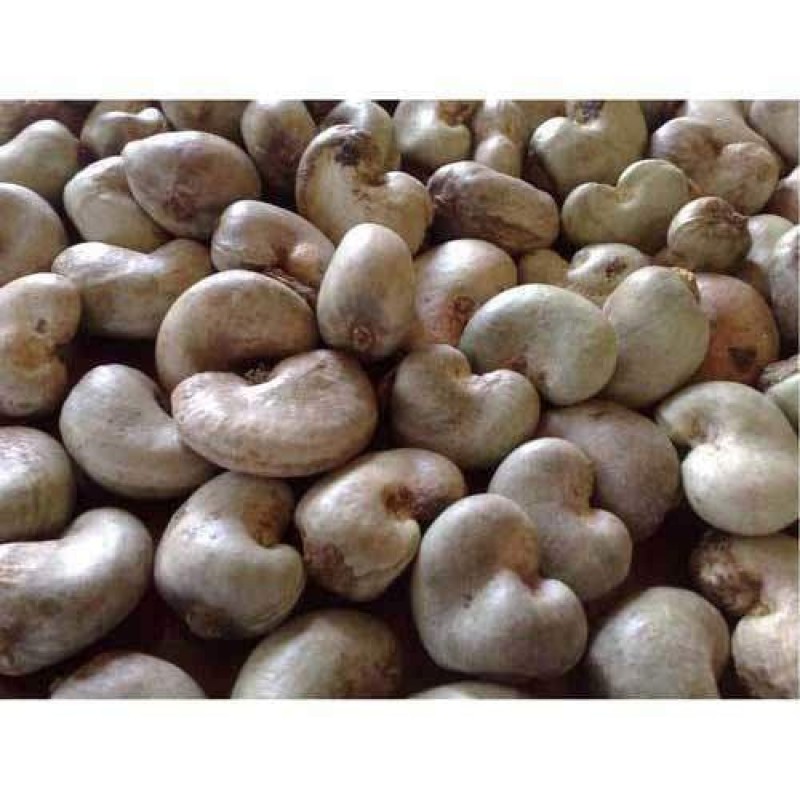 MR.AGIZA CASHEWS from Tanzania