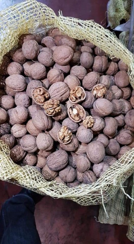 Noci from Tanzania