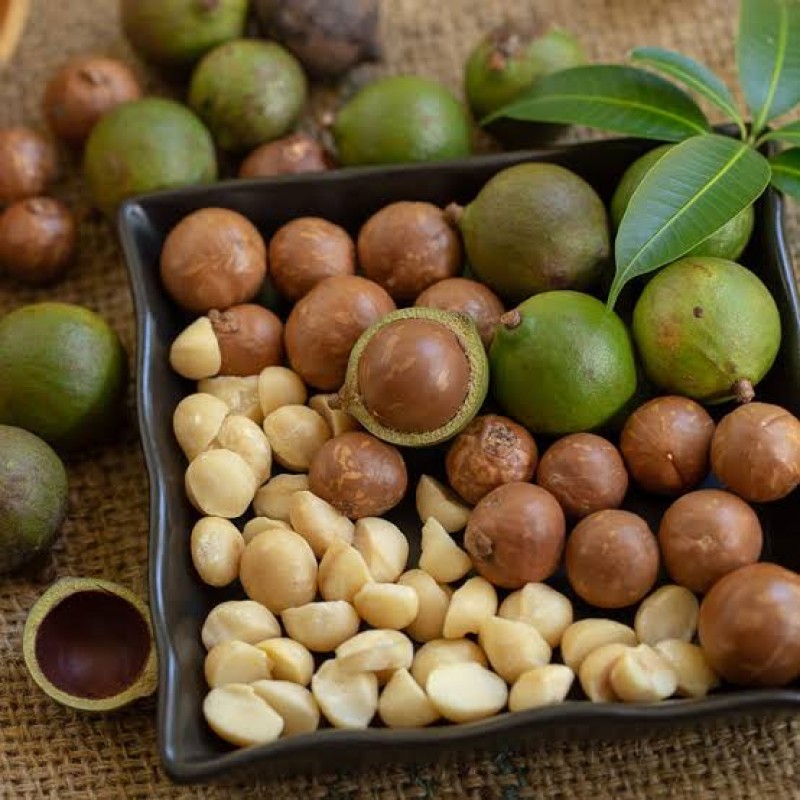 Macadamia Arusha from Tanzania