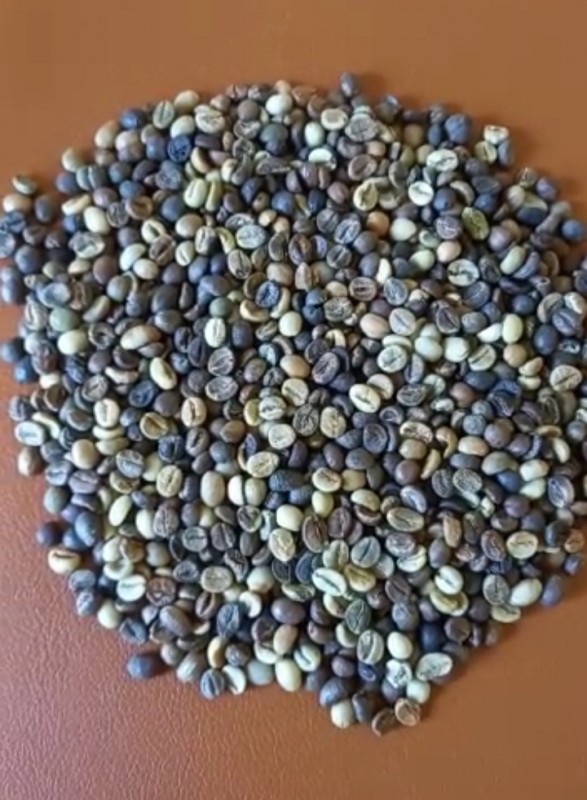 Robusta Coffee Beans-Low grade from Tanzania