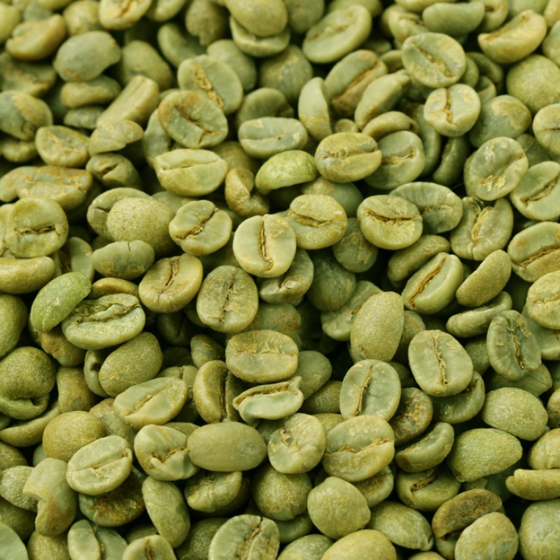 ARABICA GREEN COFFEE BEANS from Tanzania