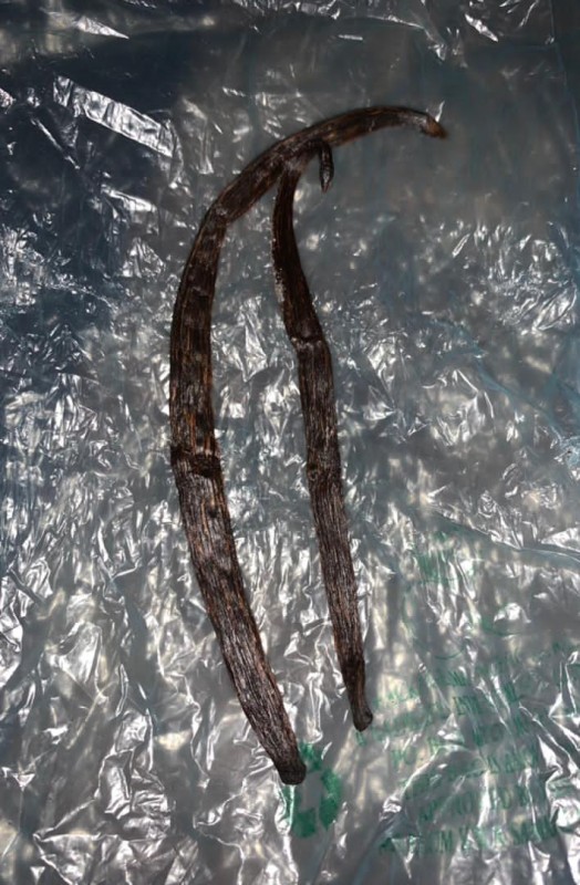 Vanilla unprocess from Tanzania