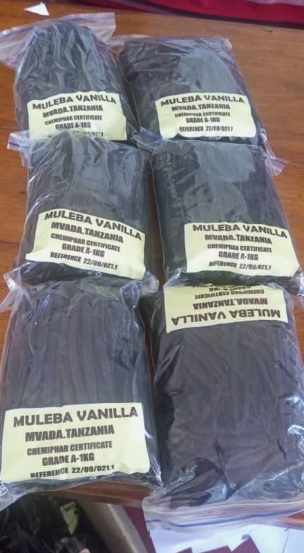 Vanilla from Tanzania