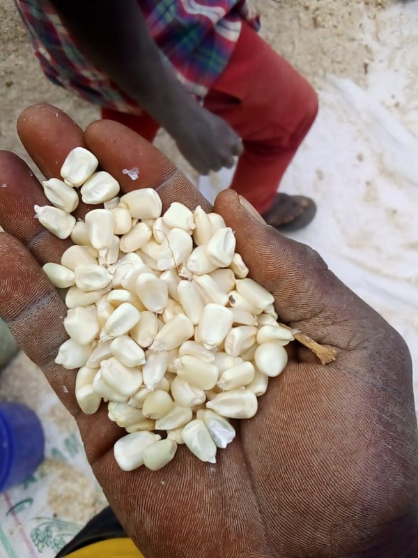 Nikhil sonecha from Tanzania