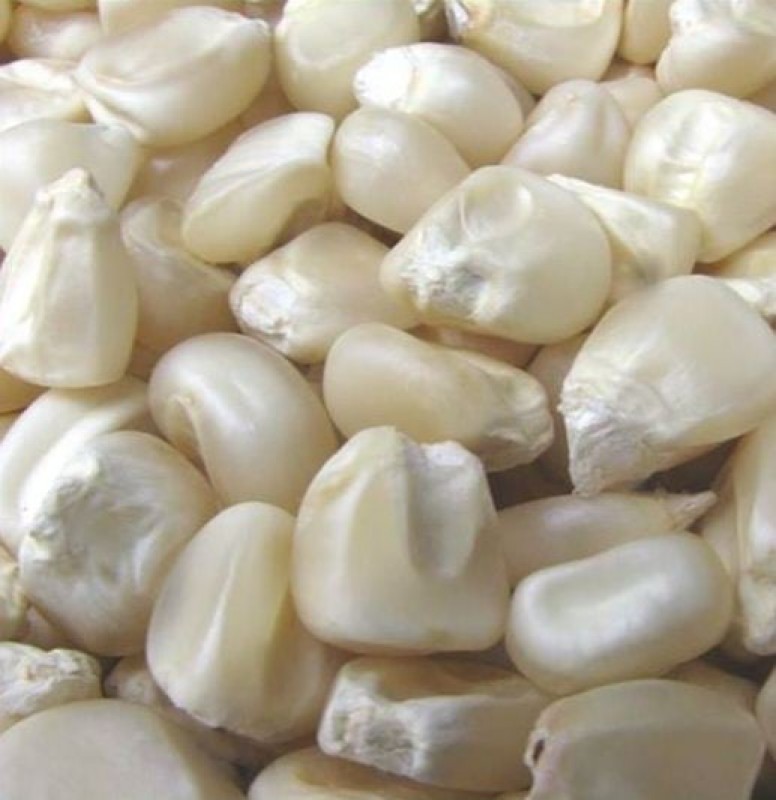 white maize for sale. whatsap +255742638024 from Tanzania