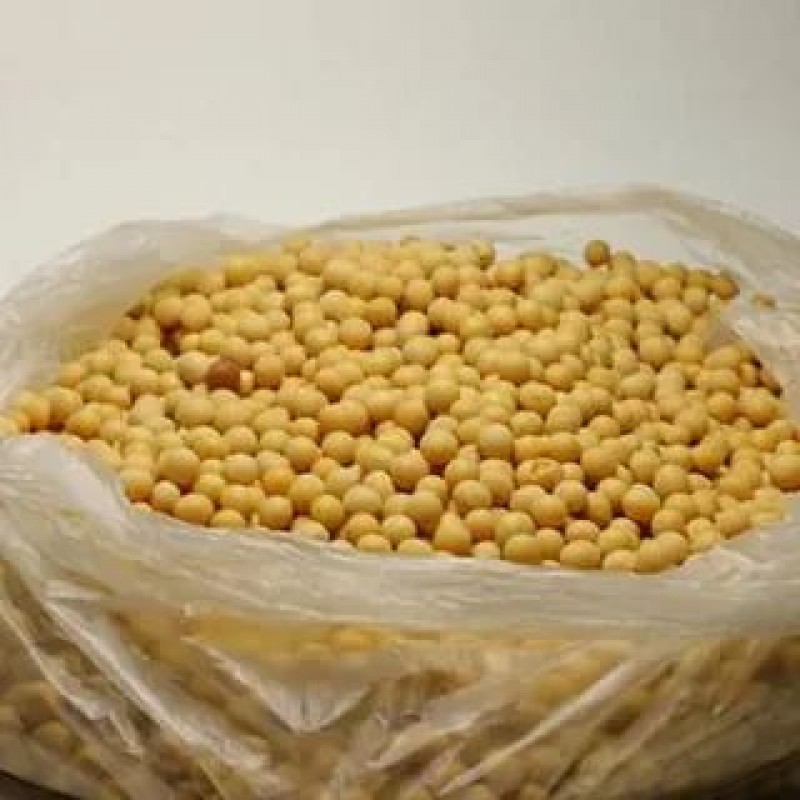 SOYBEAN from Tanzania