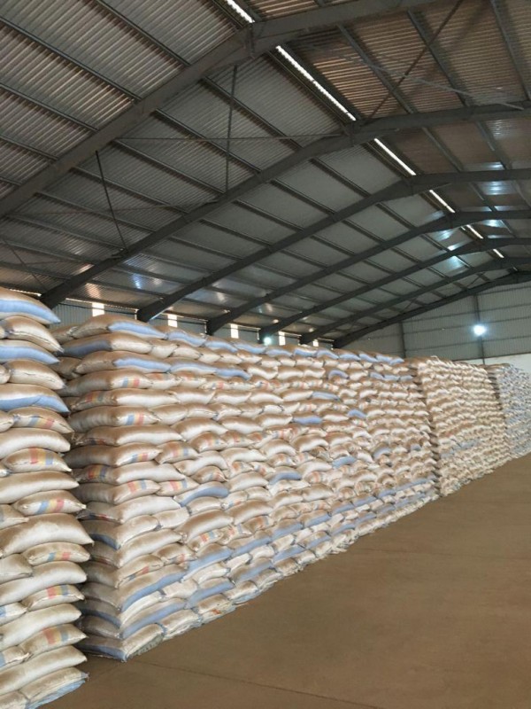 Soya Beans from Tanzania