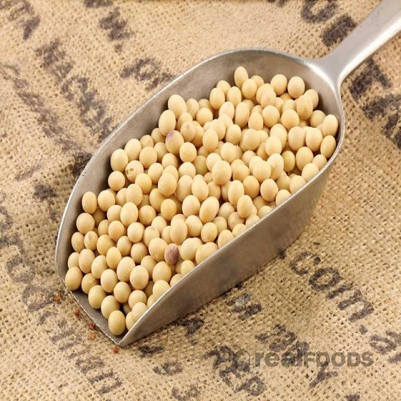 Soybeans seeds for sale. Whatsap +255742638024 from Tanzania