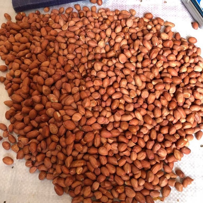 PEANUTS from Tanzania
