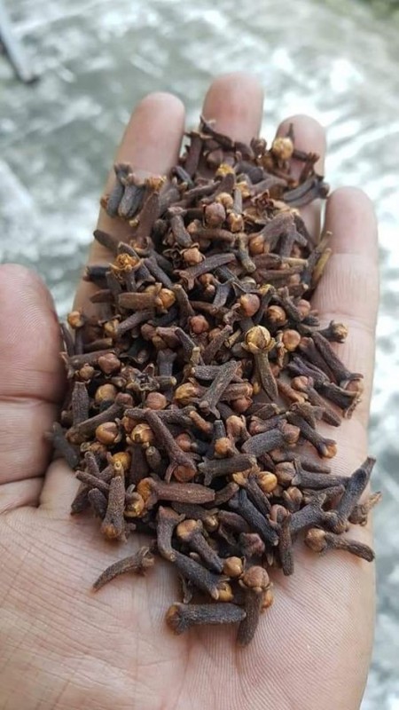 cloves for sale . whatsap +255742638024 from Tanzania