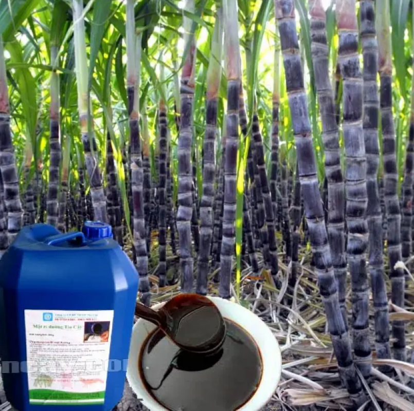 Molasses from Tanzania