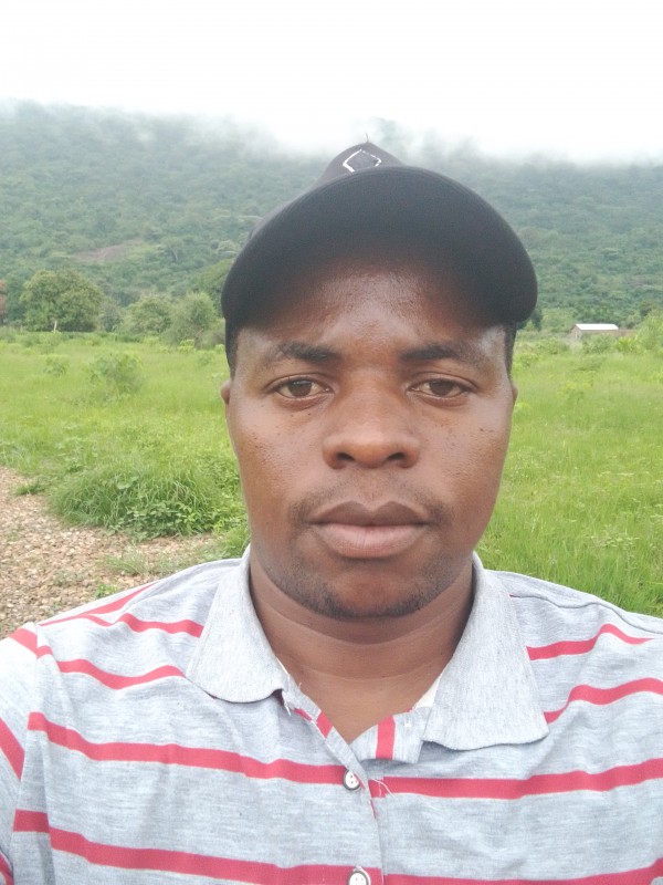 Honey from Tanzania