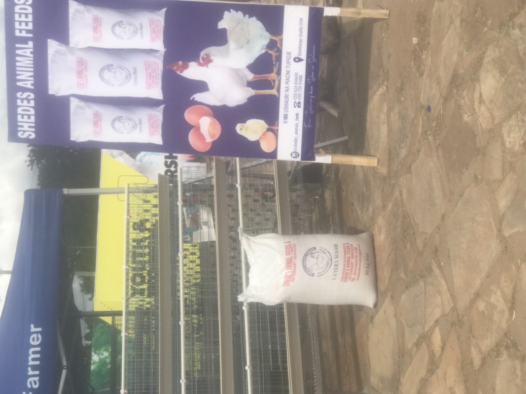 Animal Feeds from Tanzania