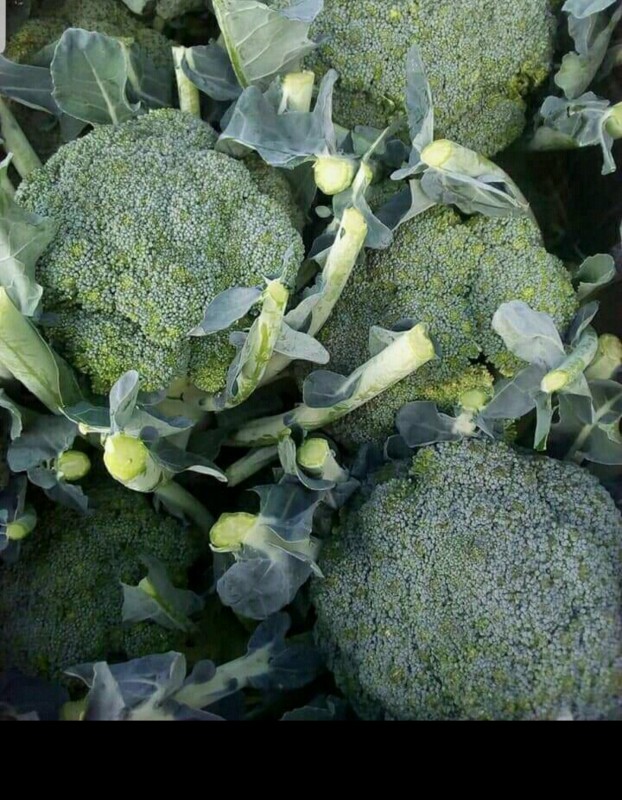 Avocado and brocolli from Tanzania